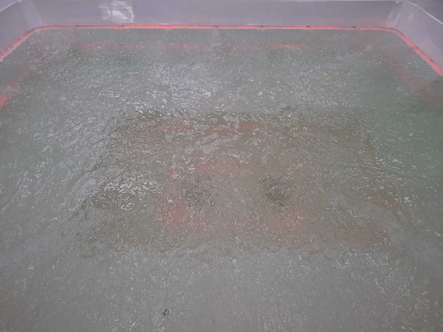 Infinitas paolo ferralli invisibile 8 persoons jacuzzi en buitenspa - afbeelding 40 van  56