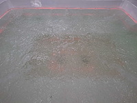 Infinitas paolo ferralli invisibile 8 persoons jacuzzi en buitenspa - afbeelding 40 van  56