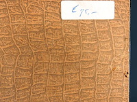 Ingekleurde ets de abdij (te middelburg?) - afbeelding 5 van  5