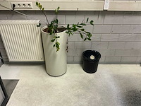 Inhoud kantoor ruimte - afbeelding 6 van  21