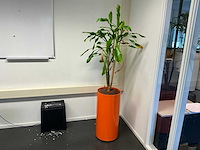 Inhoud kantoor - afbeelding 13 van  14