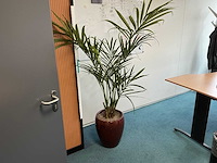 Inhoud kantoorruimte - afbeelding 2 van  6