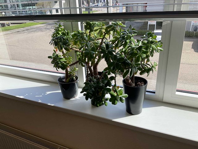 Inhoud kantoorruimte - afbeelding 8 van  10