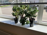 Inhoud kantoorruimte - afbeelding 8 van  10