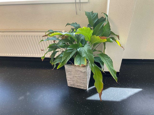 Inhoud kantoorruimte - afbeelding 10 van  10