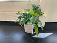 Inhoud kantoorruimte - afbeelding 10 van  10