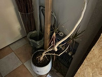 Inhoud magazijnruimte - afbeelding 5 van  24