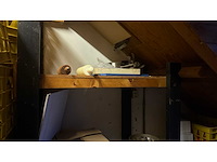 Inhoud opslag volledige etagevloer - afbeelding 6 van  12