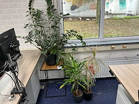 Inhoud schuifkast, 2x kantoorkast met inhoud. - afbeelding 19 van  27