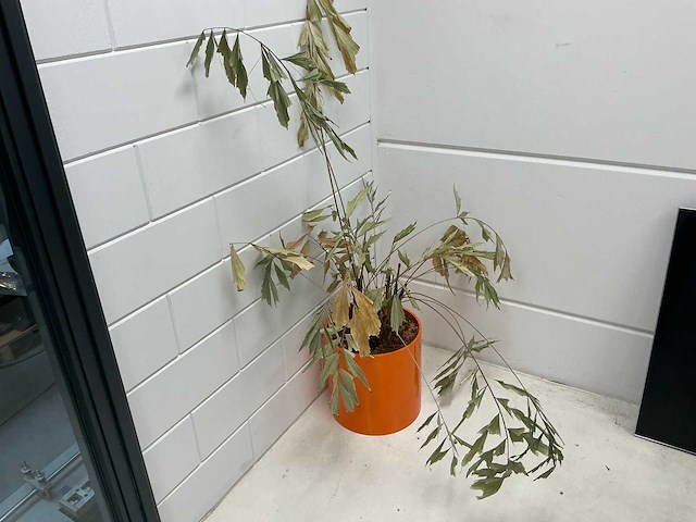 Inhoud vergader ruimte - afbeelding 4 van  10