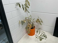 Inhoud vergader ruimte - afbeelding 4 van  10