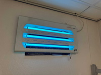 Insectenlamp - afbeelding 1 van  1