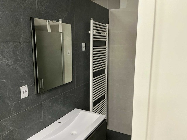 Instamat robina designradiator - afbeelding 2 van  4