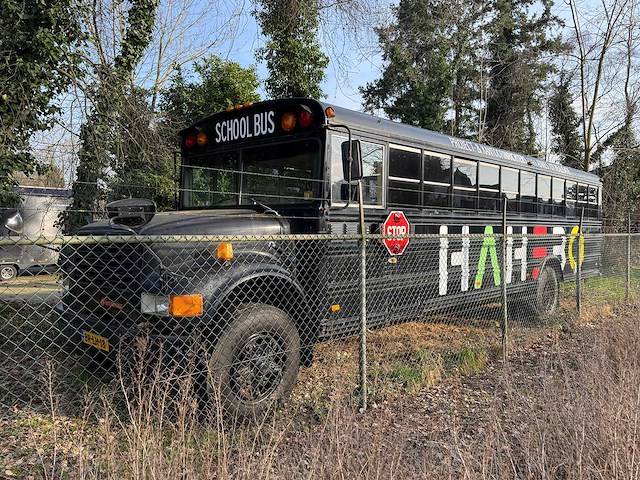 International - school bus - 3700 - wolfington body company - afbeelding 4 van  26
