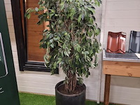 Inventaris - afbeelding 12 van  104