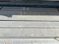 Ipe 200 (5x)