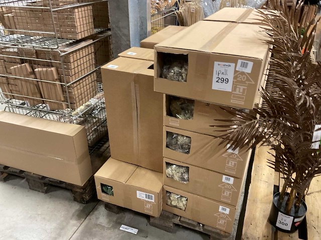 Islands mos - afbeelding 1 van  7