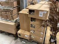 Islands mos - afbeelding 1 van  7