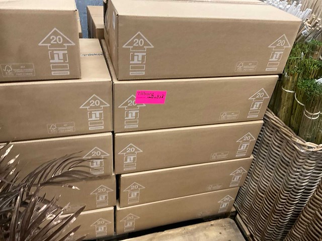 Islands mos - afbeelding 7 van  7