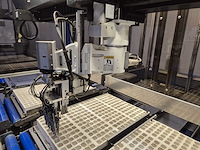 Iso group - 2013 - grade 7000 - volautomatische sorteermachine / grading machine - afbeelding 11 van  36