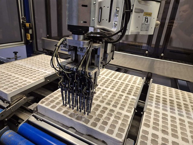 Iso group - 2013 - grade 7000 - volautomatische sorteermachine / grading machine - afbeelding 14 van  36