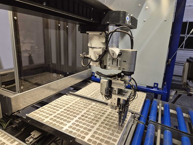 Iso group - 2013 - grade 7000 - volautomatische sorteermachine / grading machine - afbeelding 15 van  36