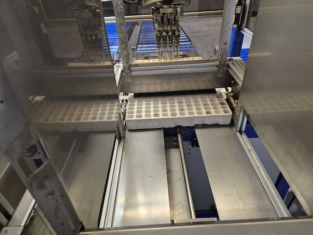 Iso group - 2014 - grade 7000 - volautomatische sorteermachine / grading machine - afbeelding 19 van  48