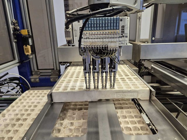 Iso group - 2014 - grade 7000 - volautomatische sorteermachine / grading machine - afbeelding 22 van  48