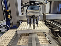 Iso group - 2014 - grade 7000 - volautomatische sorteermachine / grading machine - afbeelding 22 van  48