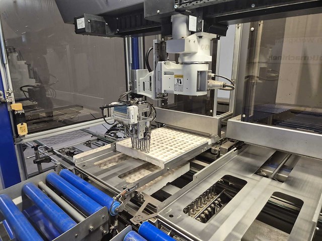 Iso group - 2014 - grade 7000 - volautomatische sorteermachine / grading machine - afbeelding 29 van  48