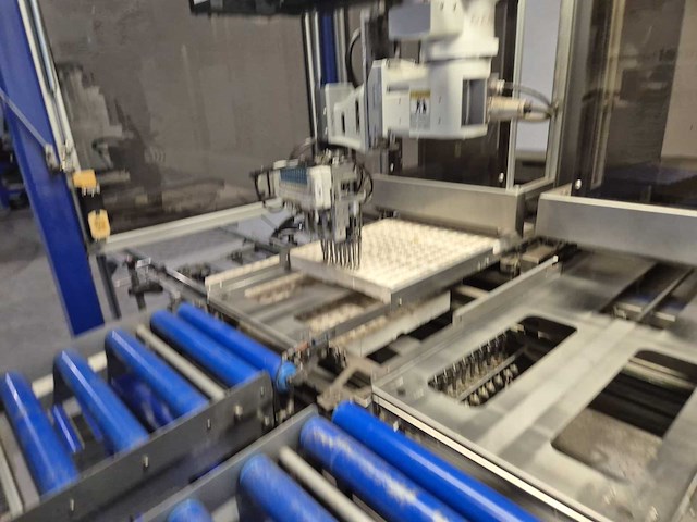 Iso group - 2014 - grade 7000 - volautomatische sorteermachine / grading machine - afbeelding 30 van  48