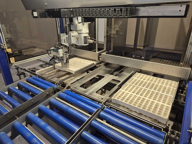 Iso group - 2014 - grade 7000 - volautomatische sorteermachine / grading machine - afbeelding 32 van  48