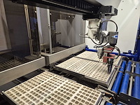 Iso group - 2018 - grade 7000 - volautomatische sorteermachine / grading machine - afbeelding 9 van  41