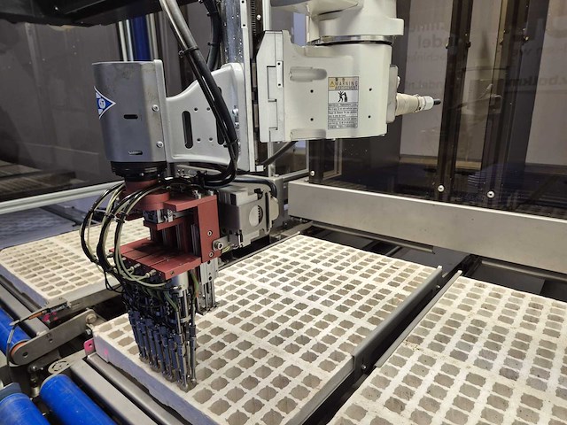 Iso group - 2018 - grade 7000 - volautomatische sorteermachine / grading machine - afbeelding 11 van  41