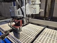 Iso group - 2018 - grade 7000 - volautomatische sorteermachine / grading machine - afbeelding 11 van  41