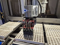 Iso group - 2018 - grade 7000 - volautomatische sorteermachine / grading machine - afbeelding 13 van  41