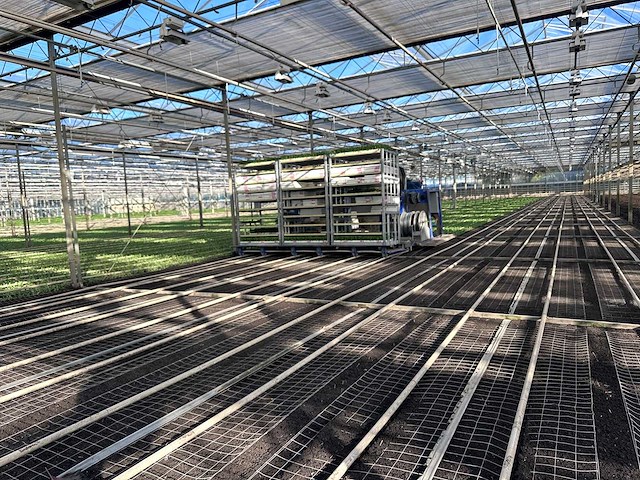 Iso robot plug planting machine - afbeelding 1 van  6
