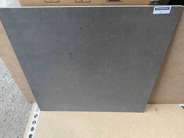 Italgraniti silver grain mat vloertegel 80x80 cm 102,4 m² - afbeelding 6 van  6