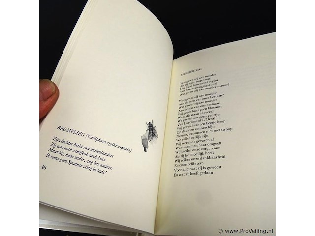 Ivo de wijs. vroege vogels vliegen - afbeelding 3 van  5