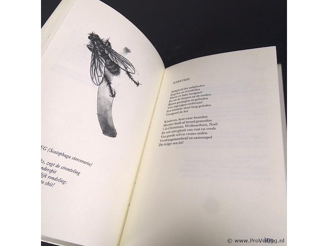 Ivo de wijs. vroege vogels vliegen - afbeelding 4 van  5