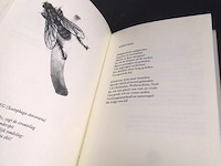 Ivo de wijs. vroege vogels vliegen - afbeelding 4 van  5