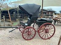 J. deleij franse phaeton - afbeelding 12 van  26