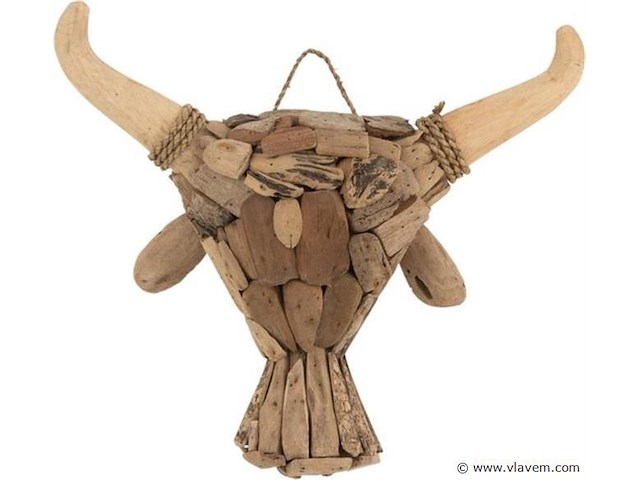 J-line stierenhoofd van drijfhout 1 stuk - afbeelding 1 van  1