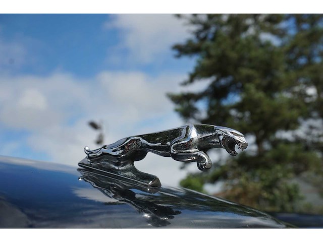 Jaguar - 1973 - xj - personenauto - afbeelding 15 van  24