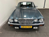 Jaguar - xj - 4.2 aut. - oldtimer - 1981 - afbeelding 8 van  37