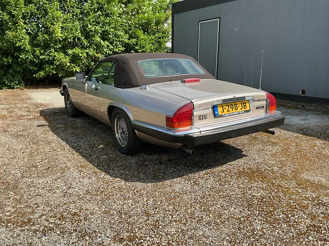 Jaguar - xjs - 5.3 v12 convertible - youngtimer > 15 - afbeelding 3 van  9