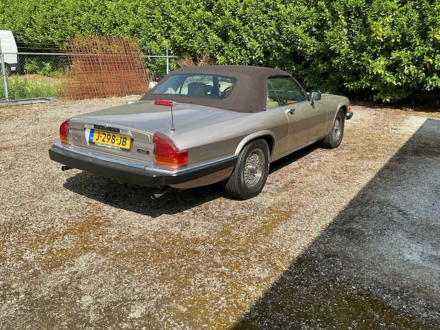 Jaguar - xjs - 5.3 v12 convertible - youngtimer > 15 - afbeelding 4 van  9
