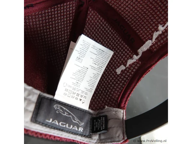 Jaguar leaper mesh back cap - afbeelding 5 van  5