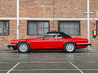 Jaguar xjs cabriolet 5.3 v12 265pk 1991 - afbeelding 11 van  38