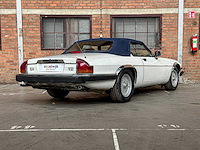 Jaguar xjs convertible 5.3 v12 266pk 1989 - afbeelding 8 van  26